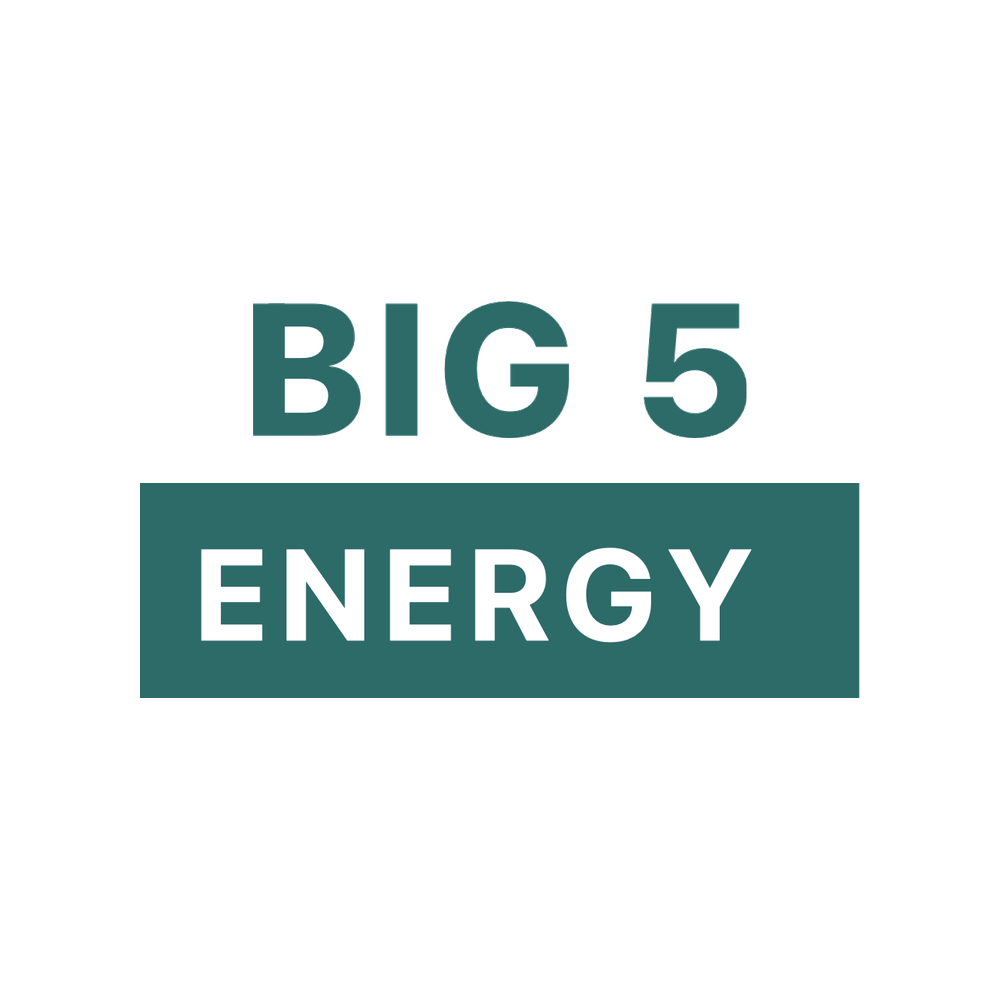 Logo Big 5 Energy